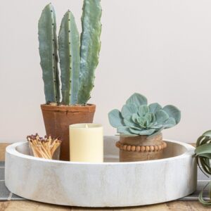 Organic Natural Wood Tray