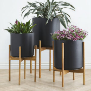 Ceramic Planter Pot + Teak Stand