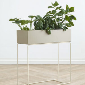 Green Plant Box